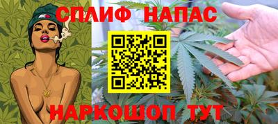ешки Моздок