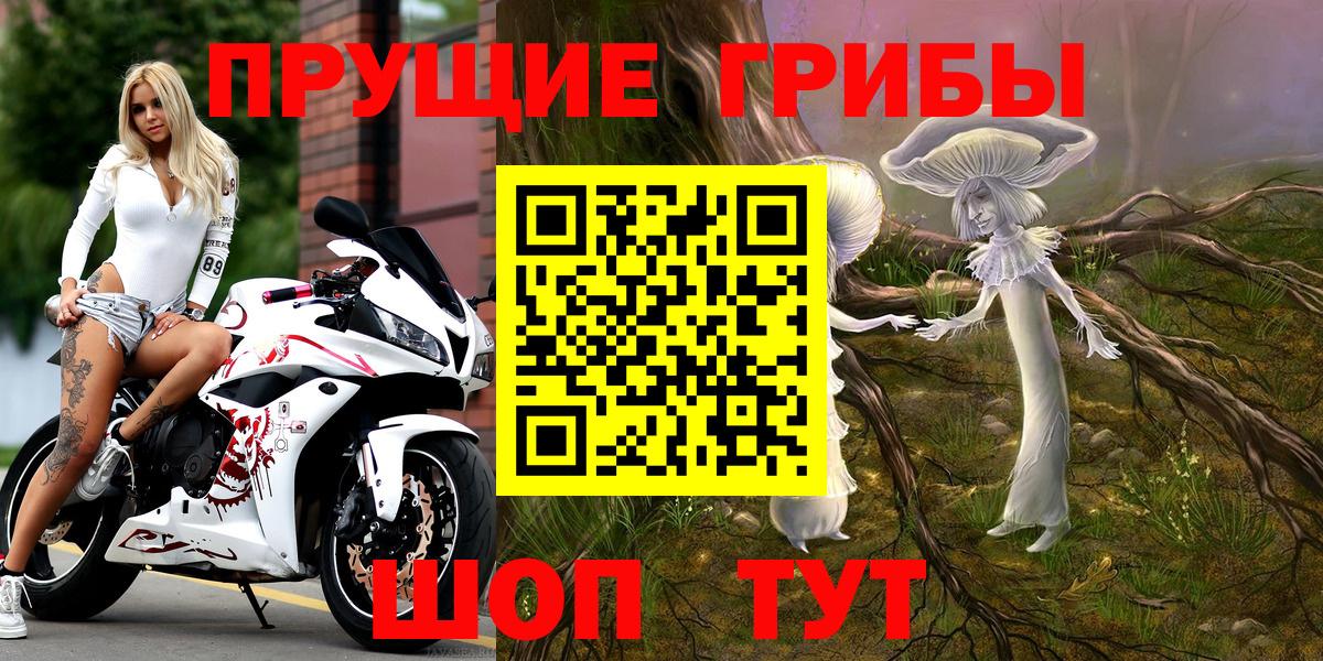Галлюциногенные грибы прущие грибы Пугачёв